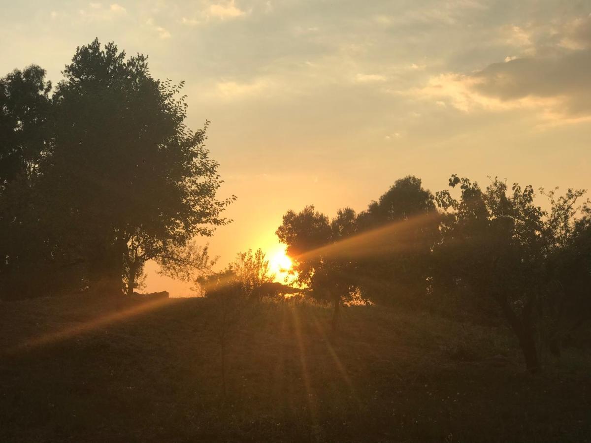 רומא La Villetta Dei Sogni Nel Parco מראה חיצוני תמונה